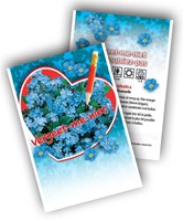Vergeet-mij-nietjes – Myosotis zaden-2