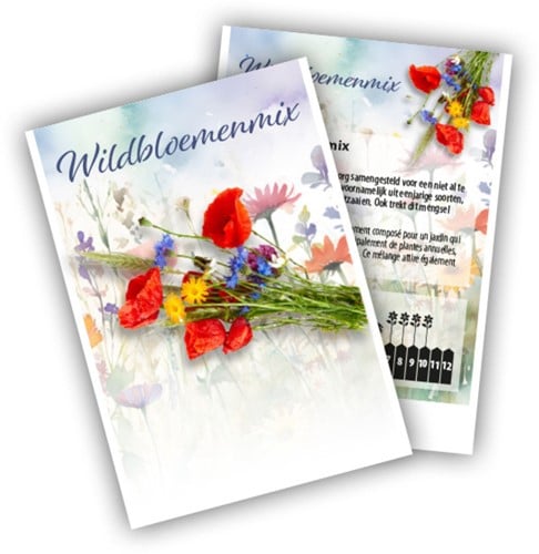 Mélange de Fleurs Sauvages