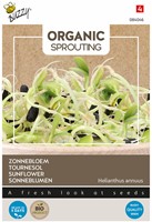 Organic sprouting Tournesol BIO – Helianthus annuus