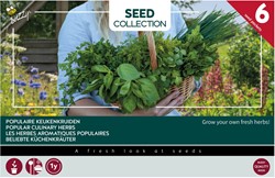 Collection 6 Herbes aromatiques populaires – Buzzy Collection