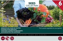 Collection 6 Potager pour débutant – Buzzy Collection