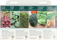 6 Cultivez vos propres super aliments ! – Buzzy Collection-3