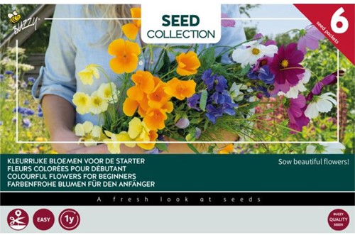 Collection 6 Fleurs colorées pour débutant – Buzzy Collection