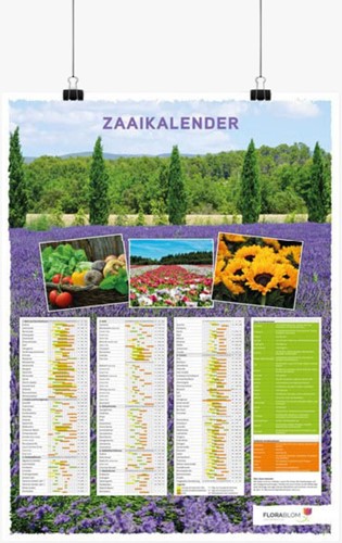 Poster Calendrier des Semis Néerlandais - Plié