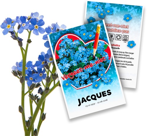 Ne m'oubliez pas - Myosotis Paquets de semences personnalisés - 2.000 pièces