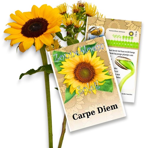 Tournesol Paquets de semences personnalisés - 10.000 Pièces